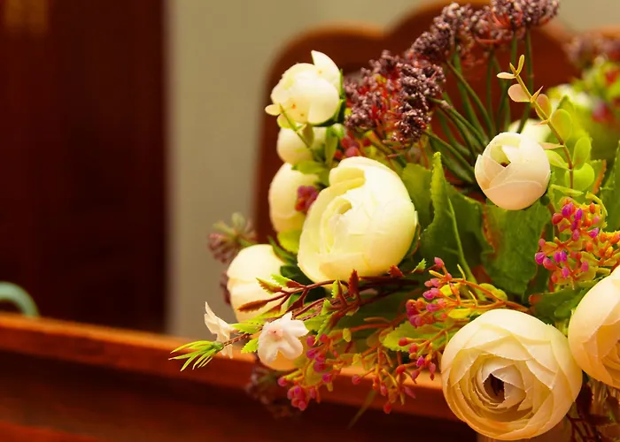 Canadas * La Esperanza (Tenerife)