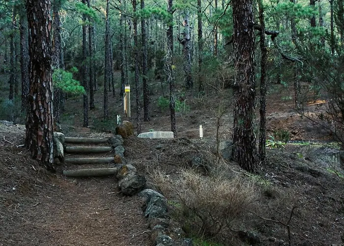 فندق Canadas La Esperanza (Tenerife)