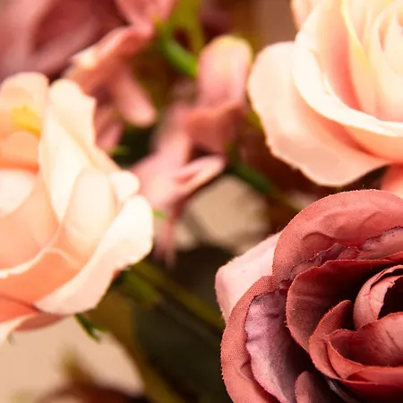 Szálloda Canadas