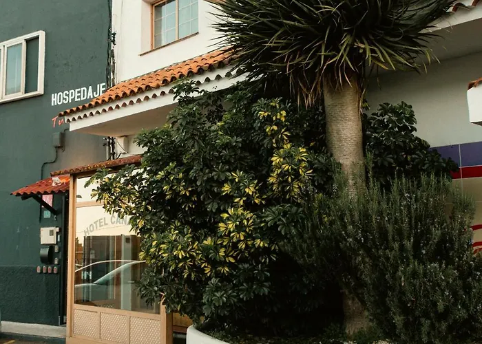 拉斯卡纳达斯酒店 酒店