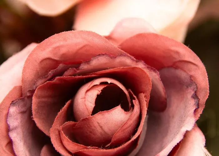 拉斯卡纳达斯酒店 La Esperanza (Tenerife)