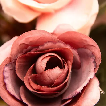 Canadas La Esperanza (Tenerife)