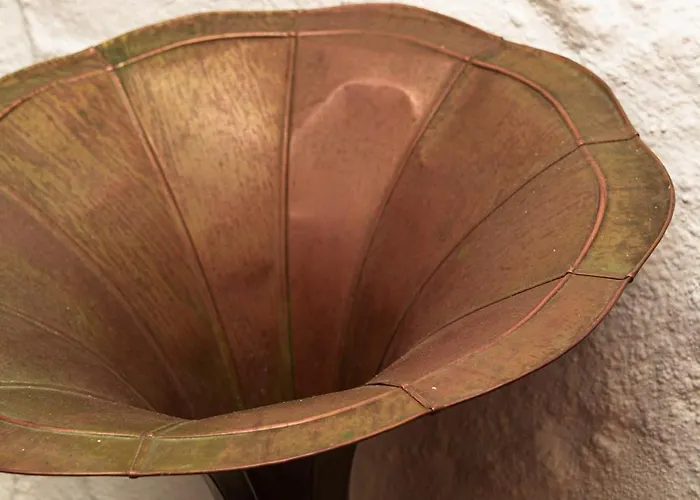 酒店 拉斯卡纳达斯酒店 *